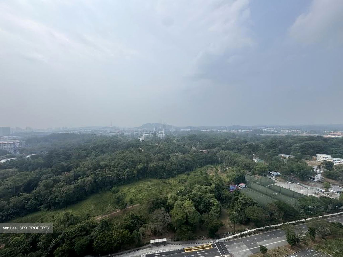 Pinetree Hill (D21), Condominium #615184181